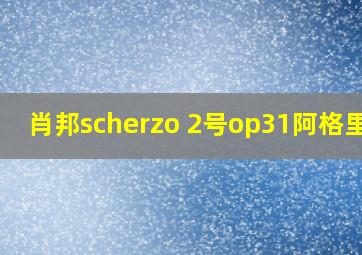 肖邦scherzo 2号op31阿格里奇